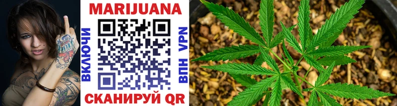Купить  Костерёво  МАРИХУАНА SATIVA & INDICA 